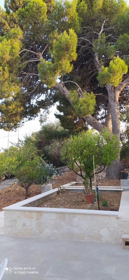 Villa Francesca Appartamento Meraviglioso Polignano a Mare Ngoại thất bức ảnh